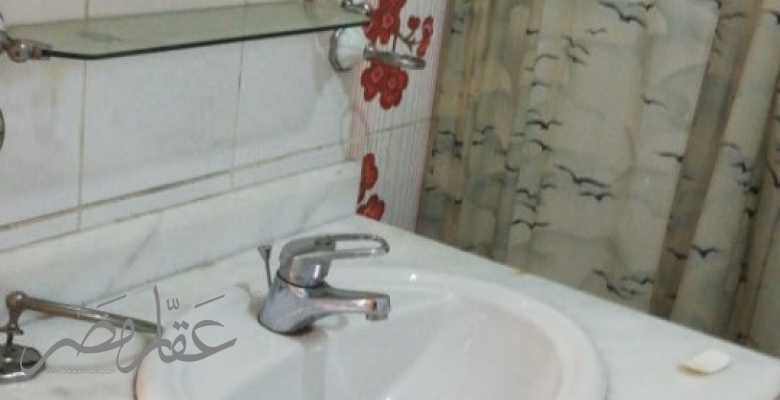 شقه بالمنيل ع النيل مباشره