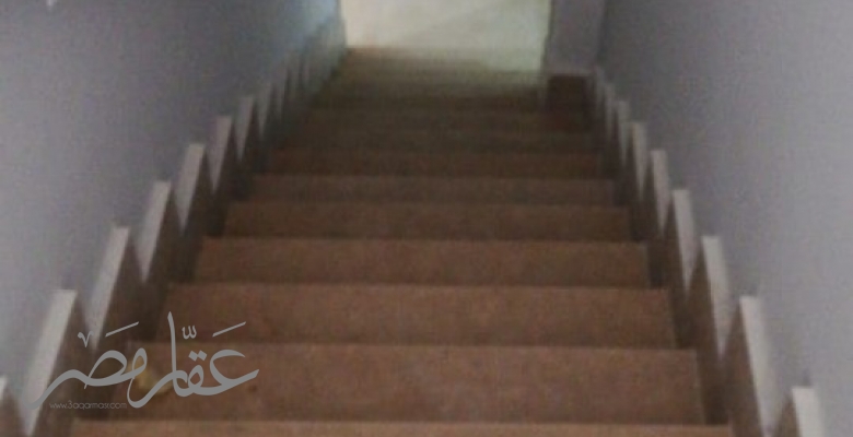 شقه بالمنيل ع النيل مباشره