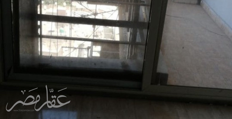 شقه بالمنيل ع النيل مباشره