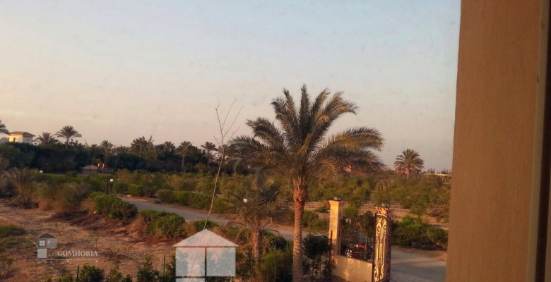 Furnished Villa for rent 2500.00 M2 in Giza, 6th of october