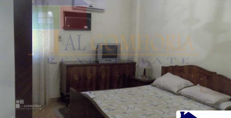 Furnished Apartment for rent 0.00 M2 in Giza, Mohandeseen