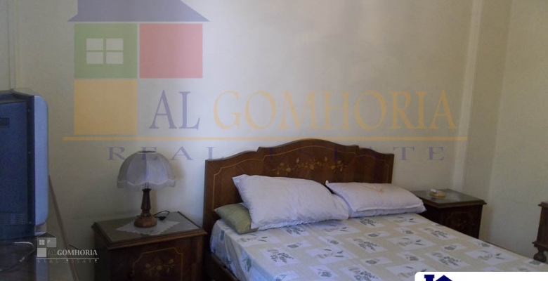 Furnished Apartment for rent 0.00 M2 in Giza, Mohandeseen