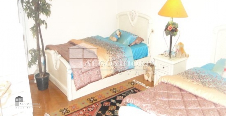 Furnished Apartment for rent 0.00 M2 in Giza, Dokki