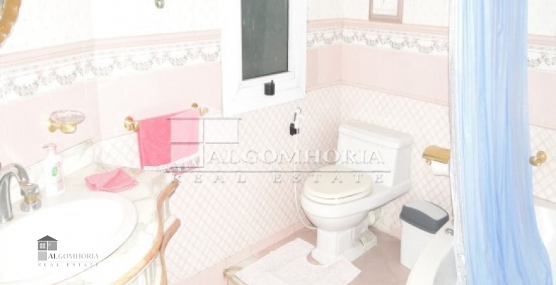 Furnished Apartment for rent 0.00 M2 in Giza, Dokki