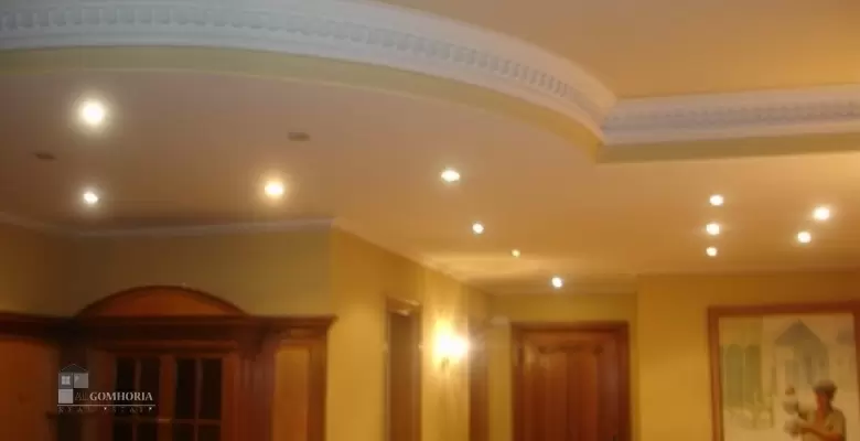 Furnished Apartment for rent 172.00 M2 in Giza, Dokki