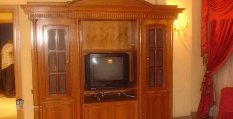 Furnished Apartment for rent 172.00 M2 in Giza, Dokki