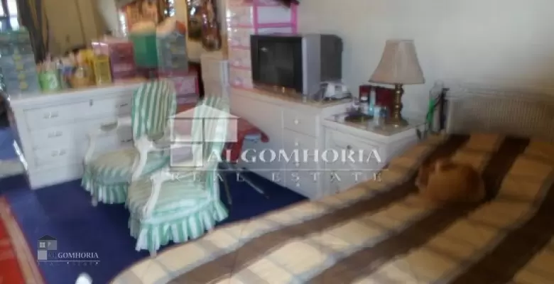 furnished apartment for rent 200.00 m2 in giza, dokki