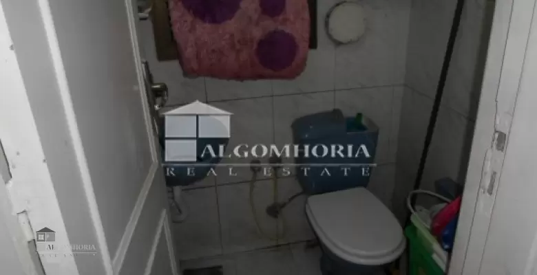 furnished apartment for rent 200.00 m2 in giza, dokki