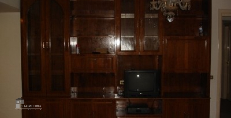 Furnished Apartment for rent 0.00 M2 in Giza, Giza