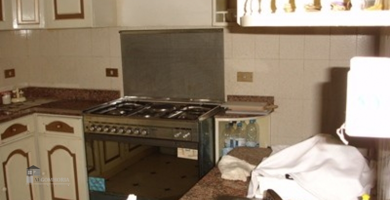 Furnished Apartment for rent 0.00 M2 in Giza, Giza
