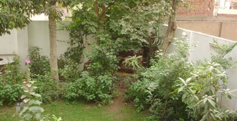 Furnished Apartment for rent 220.00 M2 in Cairo, Maadi