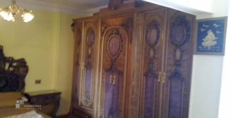 Furnished Apartment for rent 250.00 M2 in Giza, Dokki