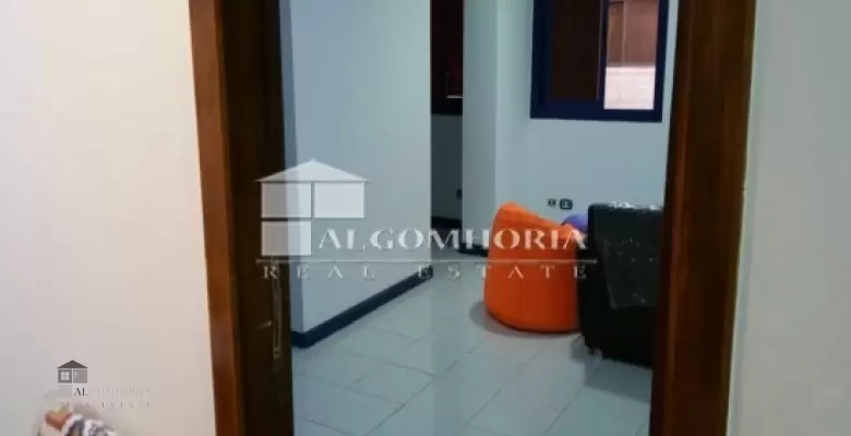 Furnished Apartment for rent 285.00 M2 in Giza, Dokki