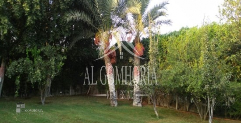 Unfurnished Villa for rent 1100.00 M2 in Misr, Alex Road