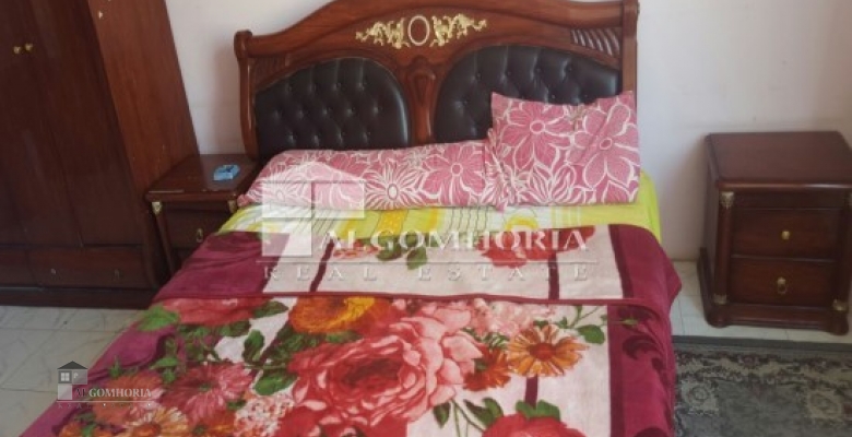 Furnished Duplex for rent 200.00 M2 in Giza, Dokki