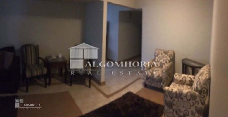 Furnished Apartment for rent 270.00 M2 in Giza, Dokki