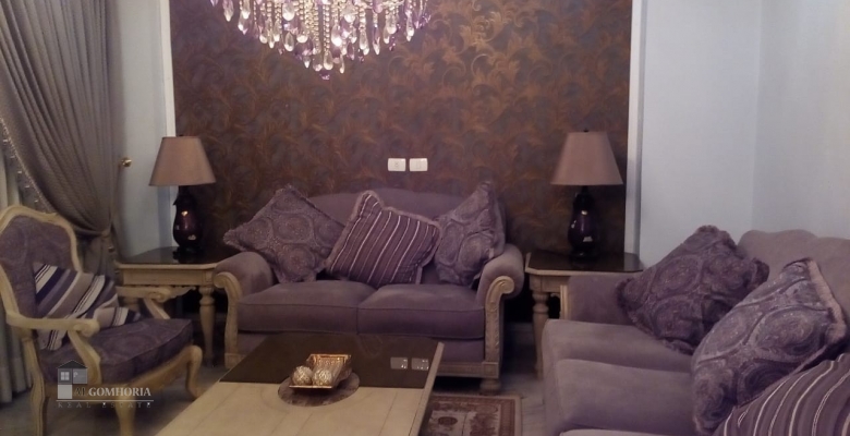 شقه للايجار بموقع متميز بالدقى / An apartment in a prime location in Dokki