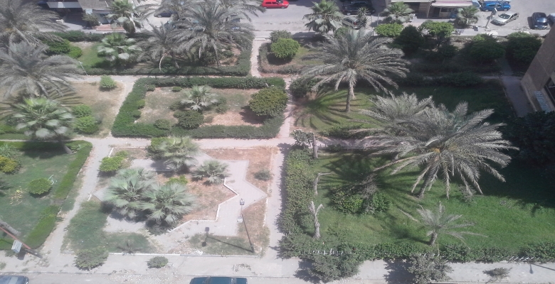 شقة مفروشة للايجار الشتوى