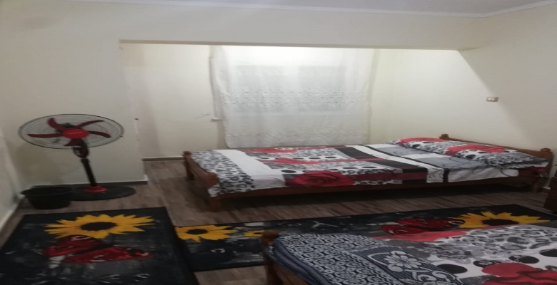 شقة فاخرة للايجار مفروش -ميامى -الدور 5