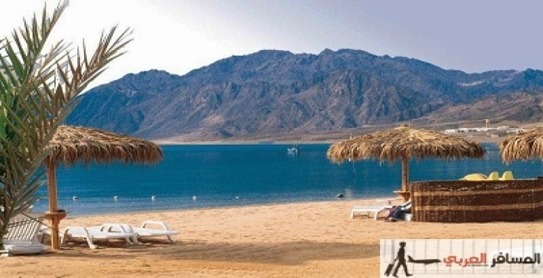 شاله بدهب على البحر للايجلر اليومى