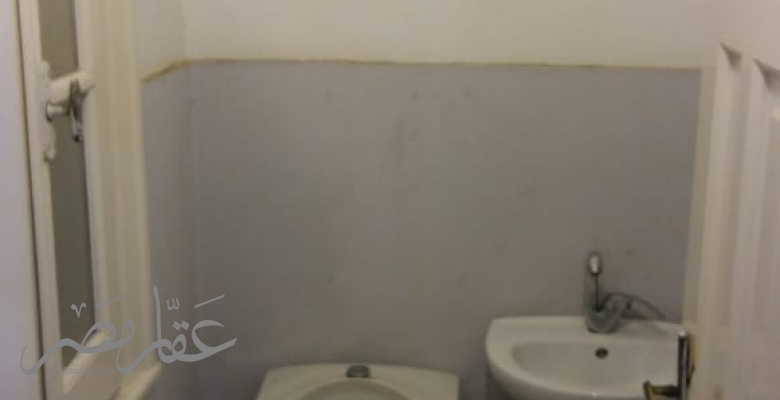 شقة مفروشه للايجار - الزمالك / Furnished apartment for rent - Zamalek