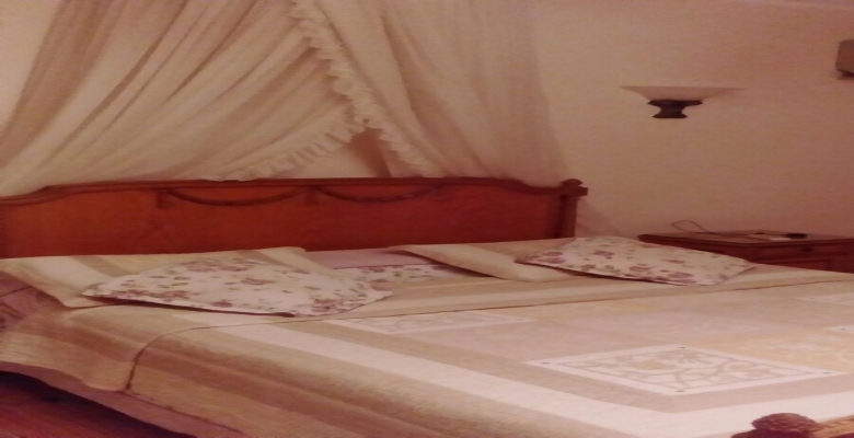 شقه مميزه للايجار في الدقي / Distinctive apartment for rent in Dokki