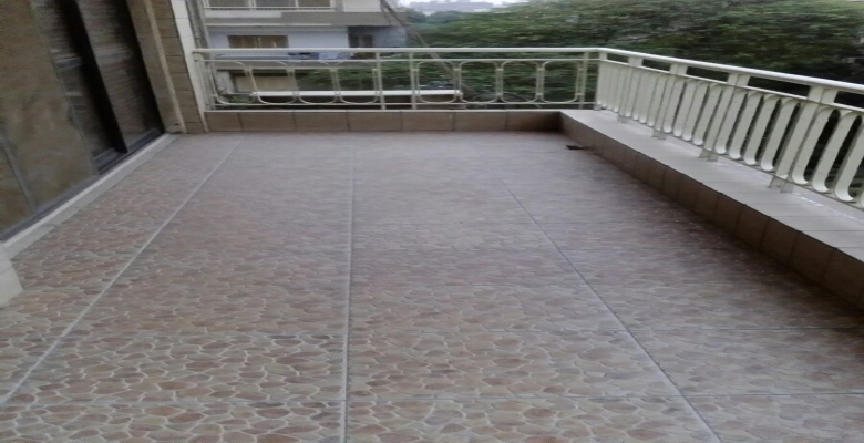 شقه مميزه للايجار في الدقي / Distinctive apartment for rent in Dokki