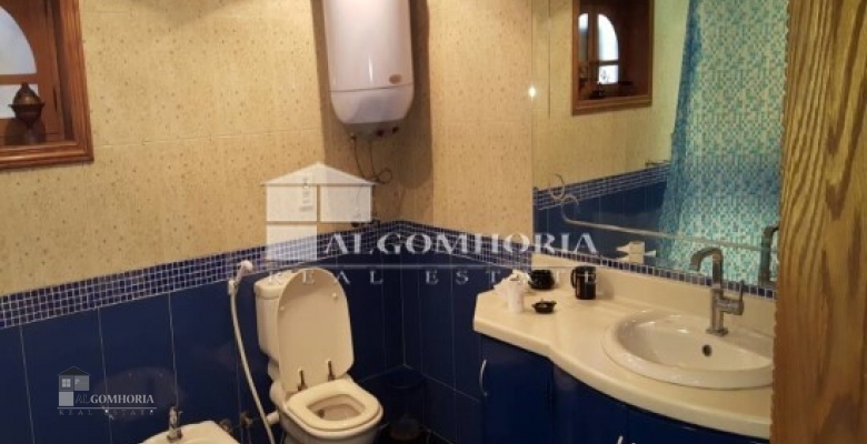 شقة مفروشة للإيجار - تطل على النيل - الزمالك