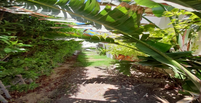 امواج الساحل الشمالي