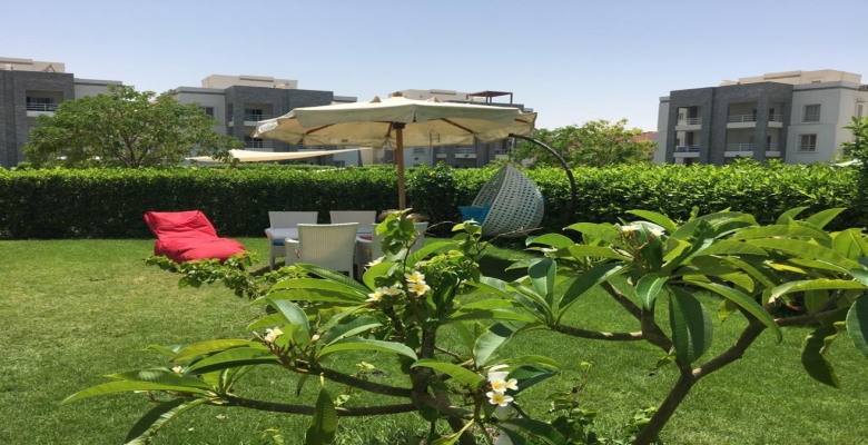 امواج الساحل الشمالي