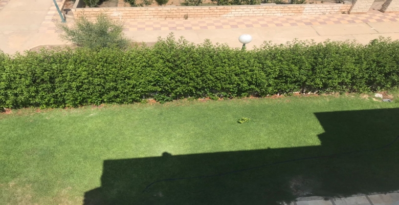 North Coast - green beach -