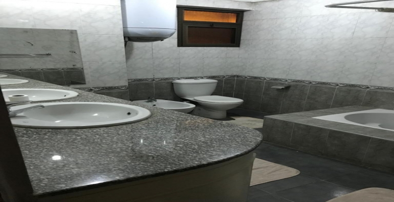 شقة مفروشة للإيجار - الزمالك / Furnished apartment for rent - Zamalek