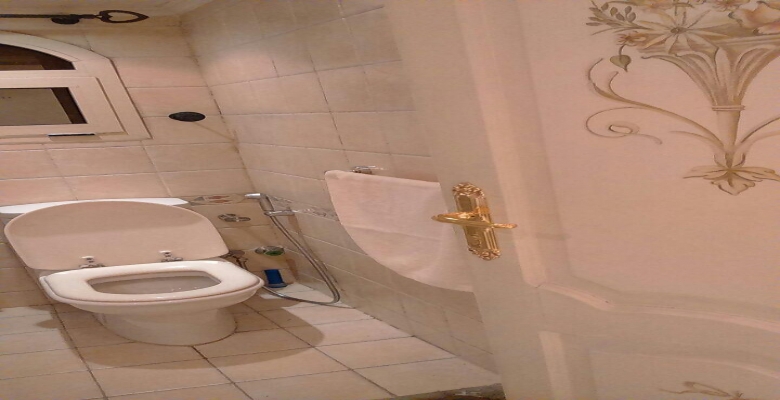 شقه مفروشه للايجار بالزمالك / Furnished apartment for rent in Zamalek