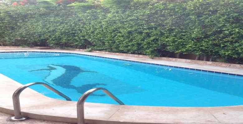 الشيخ زايد - اكتوبر