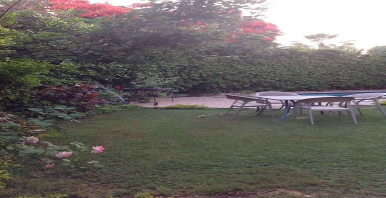 الشيخ زايد - اكتوبر