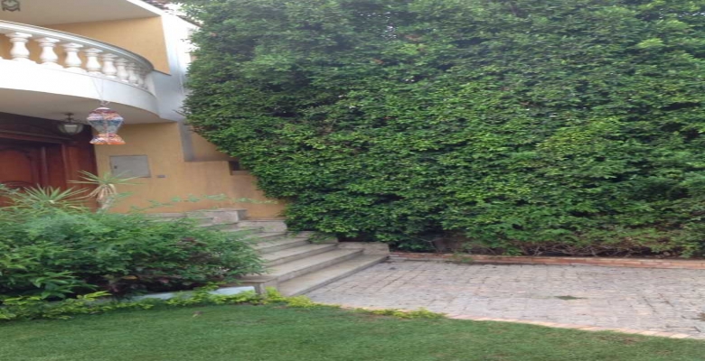 الشيخ زايد - اكتوبر