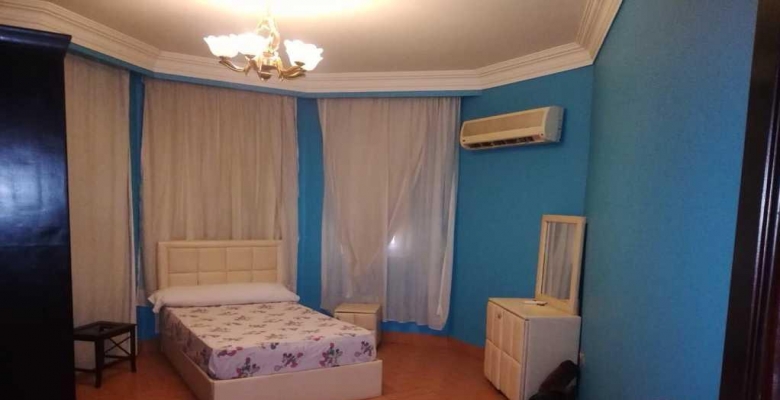 الشيخ زايد - اكتوبر