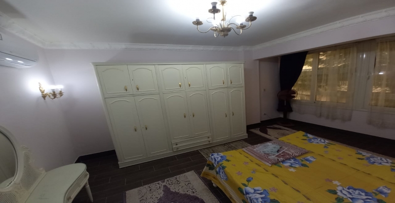 الجزيرة الوسطى - الزمالك