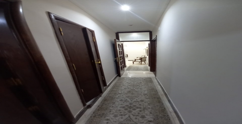 الجزيرة الوسطى - الزمالك