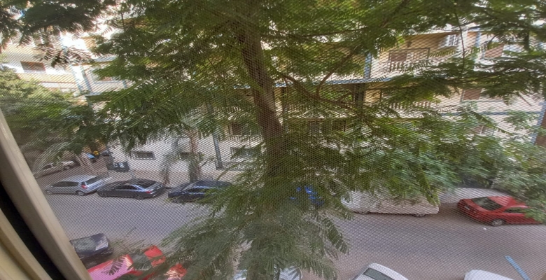 الجزيرة الوسطى - الزمالك