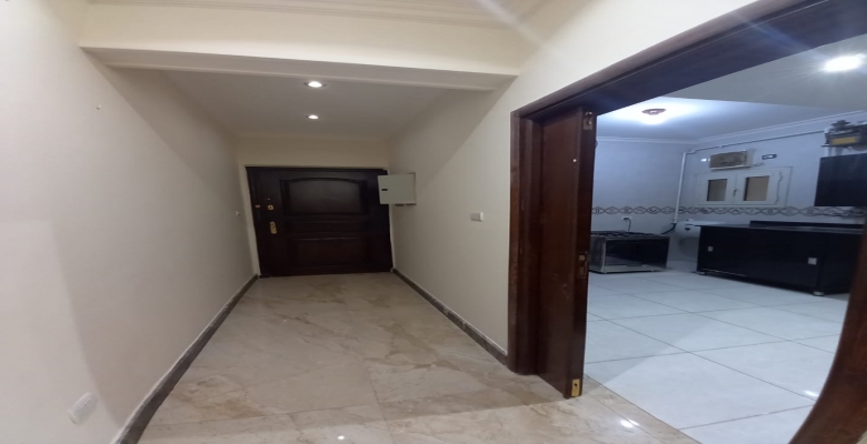 الجزيرة الوسطى - الزمالك