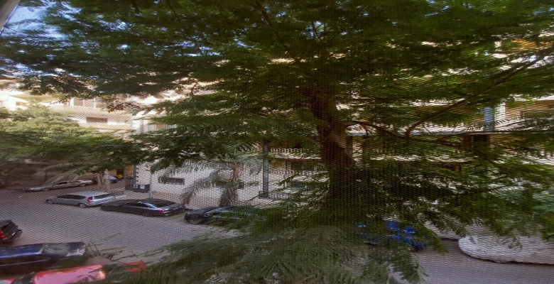 الجزيرة الوسطى - الزمالك