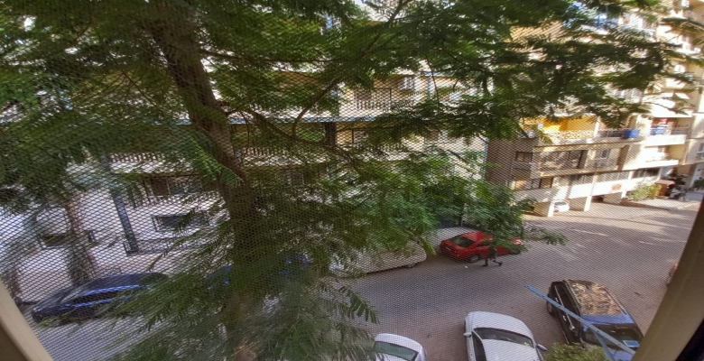 الجزيرة الوسطى - الزمالك