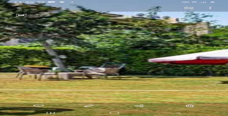 شاليه للايجارفى الساحل الشمالي(مارينا)