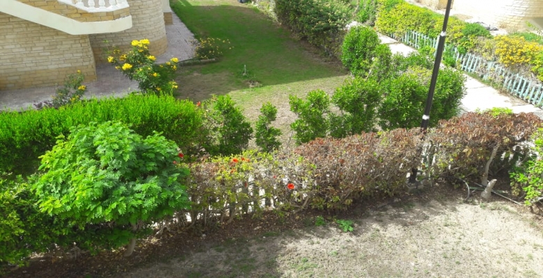 شاليه للايجار بالساحل الشمالي - قرية المروة