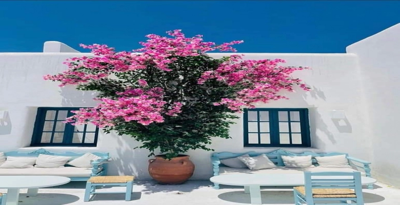 شاليه 3 غرف للايجار - بماونتن فيو - الساحل الشمالى