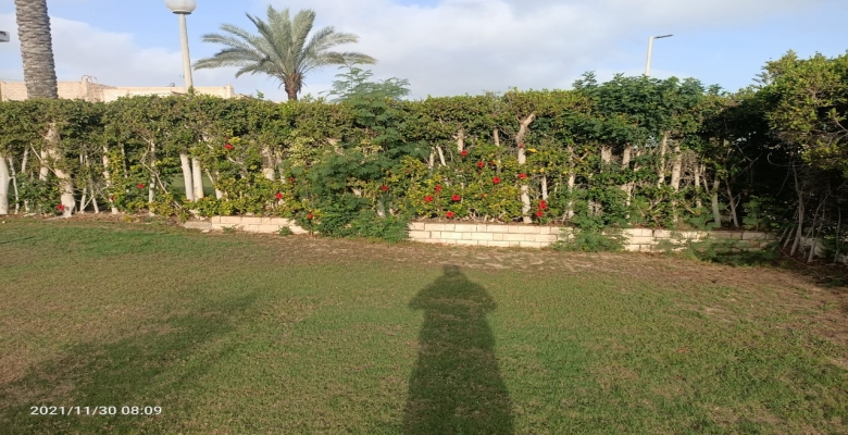 5 شاليه للايجار بالساحل الشمالى مارينا  - Chalet for rent in the North Coast Marina 5