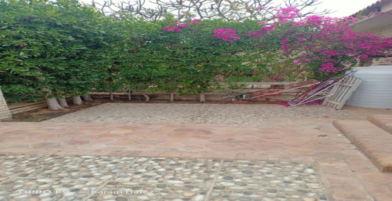 شاليه للايجار بقرية الزهور الساحل الشمالي