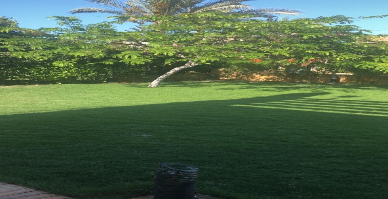 فيلا للايجار اليومى بالساحل الشمالى