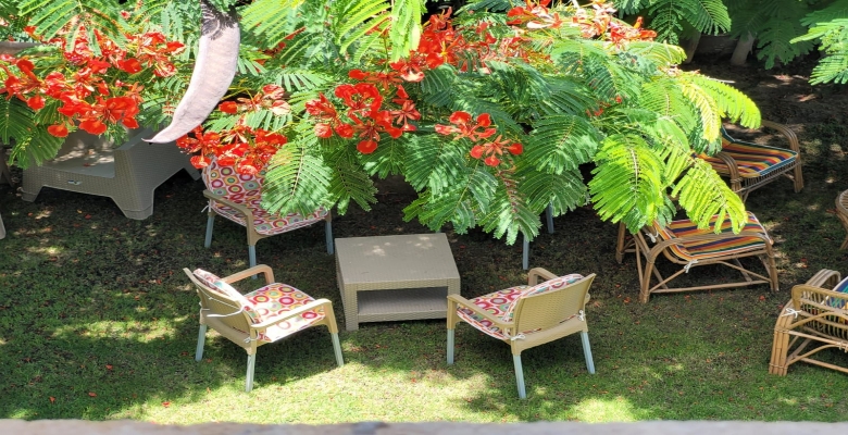 فيلا اللؤلؤة / مارينا ٥